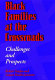 Black families at the crossroads : challenges and prospects /