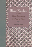 Slave families and the hato economy in Puerto Rico /