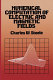 Numerical computation of electric and magnetic fields /