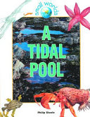 A tidal pool /