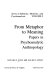 From metaphor to meaning : papers in psychoanalytic anthropology /