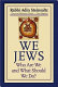We Jews : who are we and what should we do? /