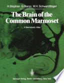 The Brain of the Common Marmoset (Callithrix jacchus) : A Stereotaxic Atlas /