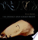 The intact and sliced brain /