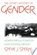 The secret history of gender : women, men, and power in late colonial Mexico /