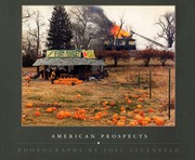 American prospects : photographs /
