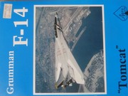 Grumman F-14 Tomcat /
