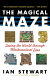 The magical maze : seeing the world through mathematical eyes /