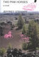 Two pink horses : a novel /