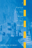 A space on the side of the road : cultural poetics in an "other" America /
