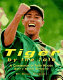 Tiger by the tale : a celebration of Tiger Woods, golf's newest superstar /