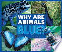 Why are animals blue? /