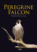 Peregrine falcon /