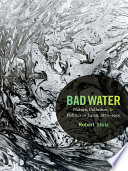 Bad water : nature, pollution, and politics in Japan, 1870-1950 /