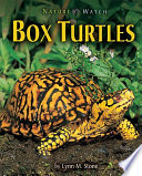 Box turtles /