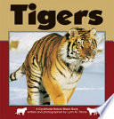 Tigers /