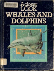 A closer look at whales and dolphins /