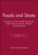 Conodonts of the Middle Ordovician Table Head Formation, western Newfoundland /