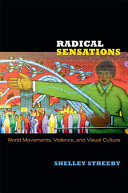 Radical sensations : world movements, violence, and visual culture /