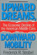 Upward dreams, downward mobility : the economic decline of the American middle class /