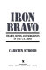 Iron bravo : hearts, minds, and sergeants in the U.S. Army /