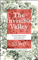 The invisible valley : a novel /