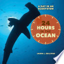 24 hours in the ocean /