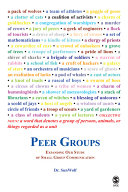 Peer groups : expanding our study of small group communication /
