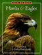 How to spot hawks & eagles /