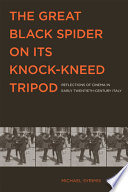 The great black spider on its knock-kneed tripod : reflections of cinema in early twentieth-century Italy /