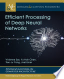Efficient processing of deep neural networks /