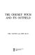 The cricket pitch and its outfield /