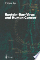 Epstein-Barr Virus and Human Cancer /