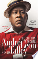The chiffon trenches : a memoir /