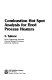 Combustion hot spot analysis for fired process heaters /