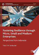 Fostering Resilience through Micro, Small and Medium Enterprises : Perspectives from Indonesia /