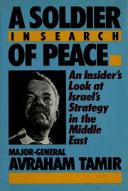 A soldier in search of peace : an inside look at Israel's strategy /