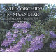 Wild orchids in Myanmar : last paradise of wild orchids = Miyanmā no yasei ran : chijō saigo no rakuen /