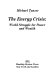 The energy crisis : world struggle for power and wealth /