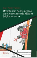 Resistencia de los negros en el Virreinato de México, siglos XVI-XVII /