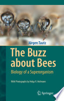 The buzz about bees : biology of a superorganism /