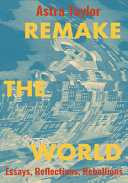 Remake the world : essays, reflections, rebellions /