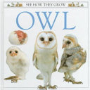 Owl /