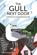 The gull next door : a portrait of a misunderstood bird /