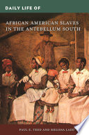 Daily life of African American slaves in the Antebellum South /