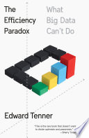 The efficiency paradox : what big data can't do /