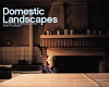 Domestic landscapes : a portrait of Europeans at home /