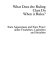 What does the ruling class do when it rules? : state apparatuses and state power under feudalism, capitalism and socialism /