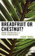 Breadfruit or chestnut? : gender construction in the French Caribbean novel /