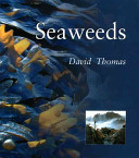 Seaweeds /